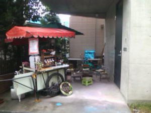 101009_1247 dogdeco1009