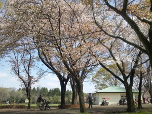 小金井公園