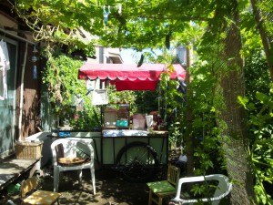 DSC_1026 平林家9月