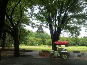 小金井公園
