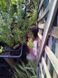 かくれんぼはるちゃん