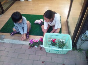 ひかるちゃんとはるちゃん