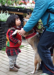 はるちゃんとぐりこ