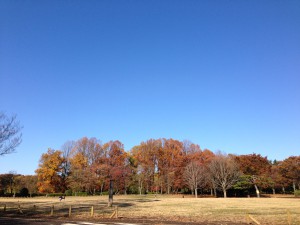 IMG_0342 小金井公園