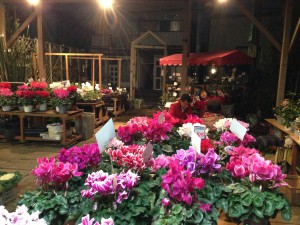 オリーブガーデン