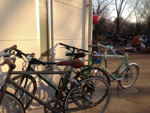 自転車たち