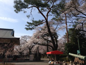 エントランスひろば