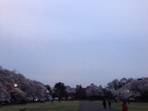 たてもの園前の空