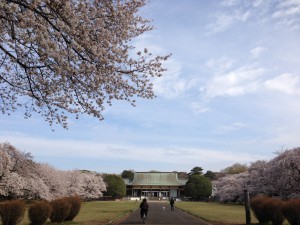 桜の園1
