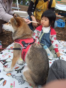 はるちゃんとぐりこ