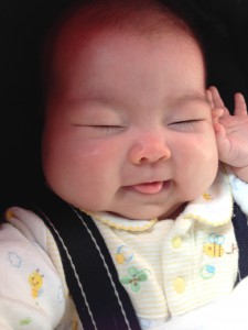 いちこちゃん0405