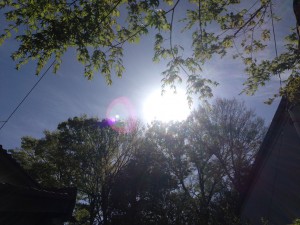 小金井神社上空