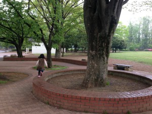 つむちゃん走る