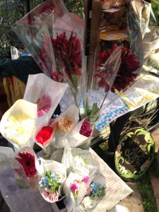 ペタルさんのお花