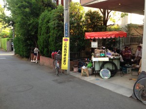 葉っぱを探す青ちゃん