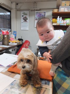 IMG_2739 いちことヒール