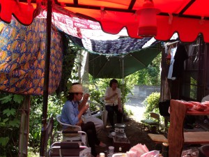 とうもろこし２