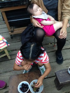 はるちゃんいちこ