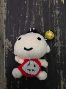 かぼちゃこきん