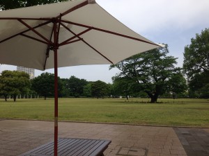 武蔵国分寺公園