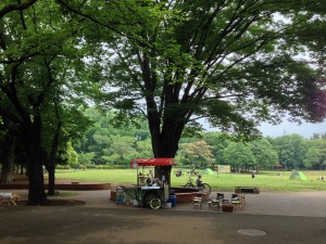 小金井公園